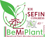 Green-it researchers recognized at XIX SEFIN Congress and II BeMiPlant Congress