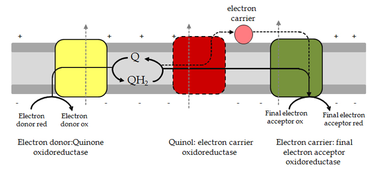 Intro - Figure 2