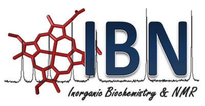 logo IBN