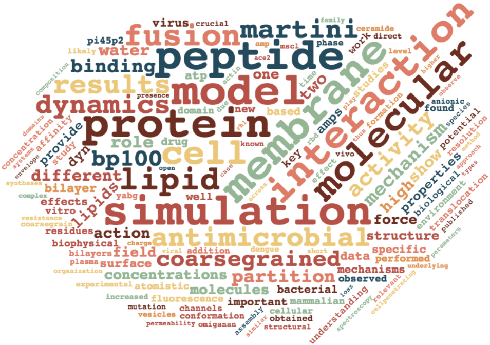  Cloud of words in various colors and sizes. Some of the largest words include peptide membrane model protein simulation interaction molecular cell lipid fusion antimicrobial dynamics martini results activity bp100 coarsegrained binding can mechanism.