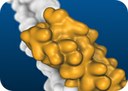 A Nobel for the computational tools that help us unveil the mysteries of proteins